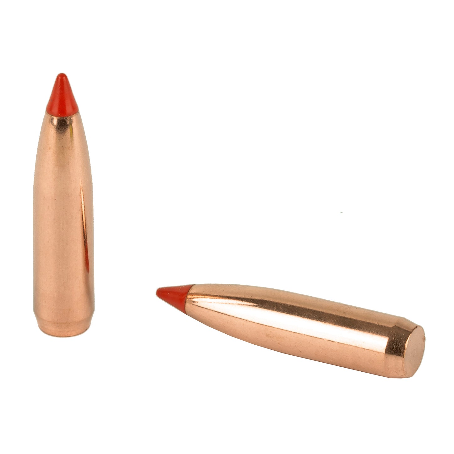 Nosler Ballistic Tip 50ct